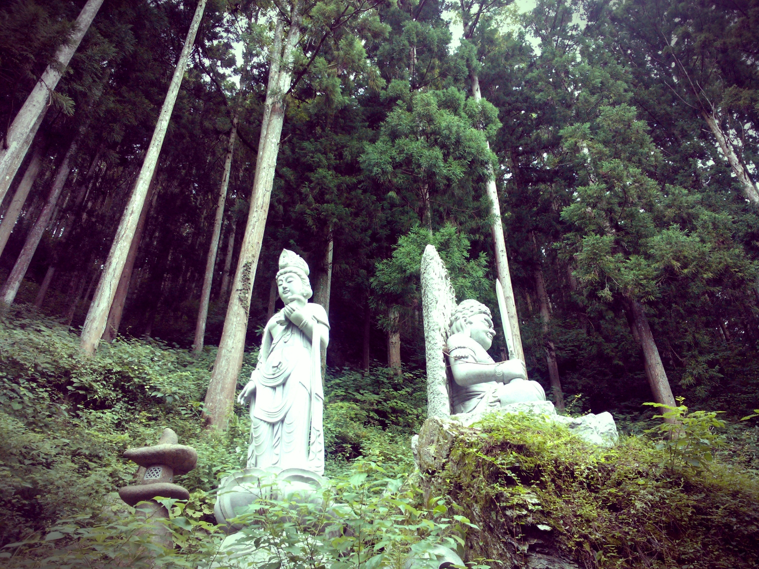 Shikoku Pilgrimage off Season