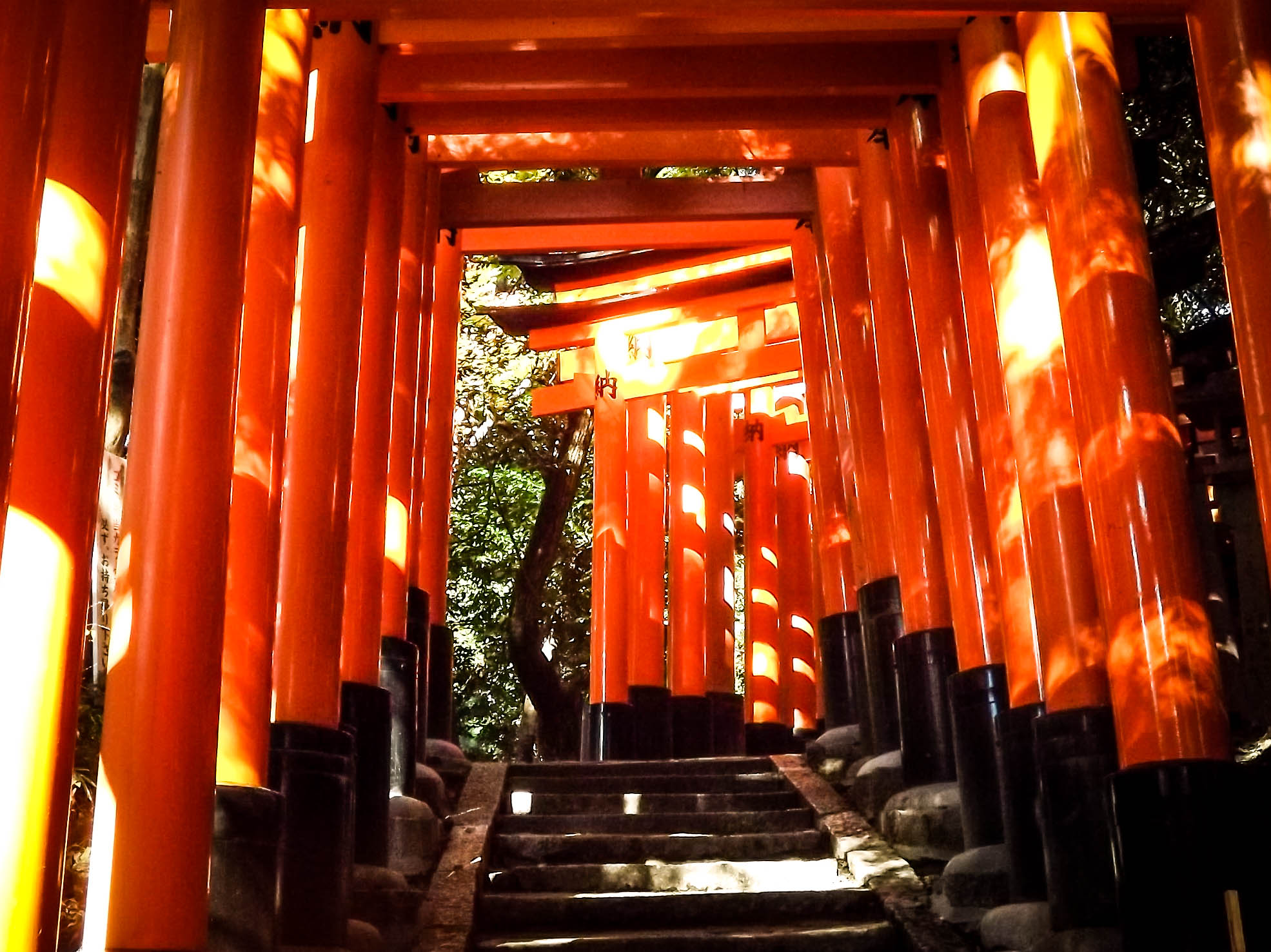 Red torii at Fushimi Inari Jinja