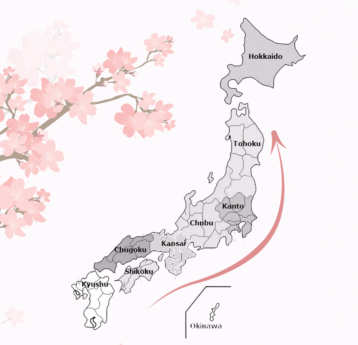 Sakura Forecast